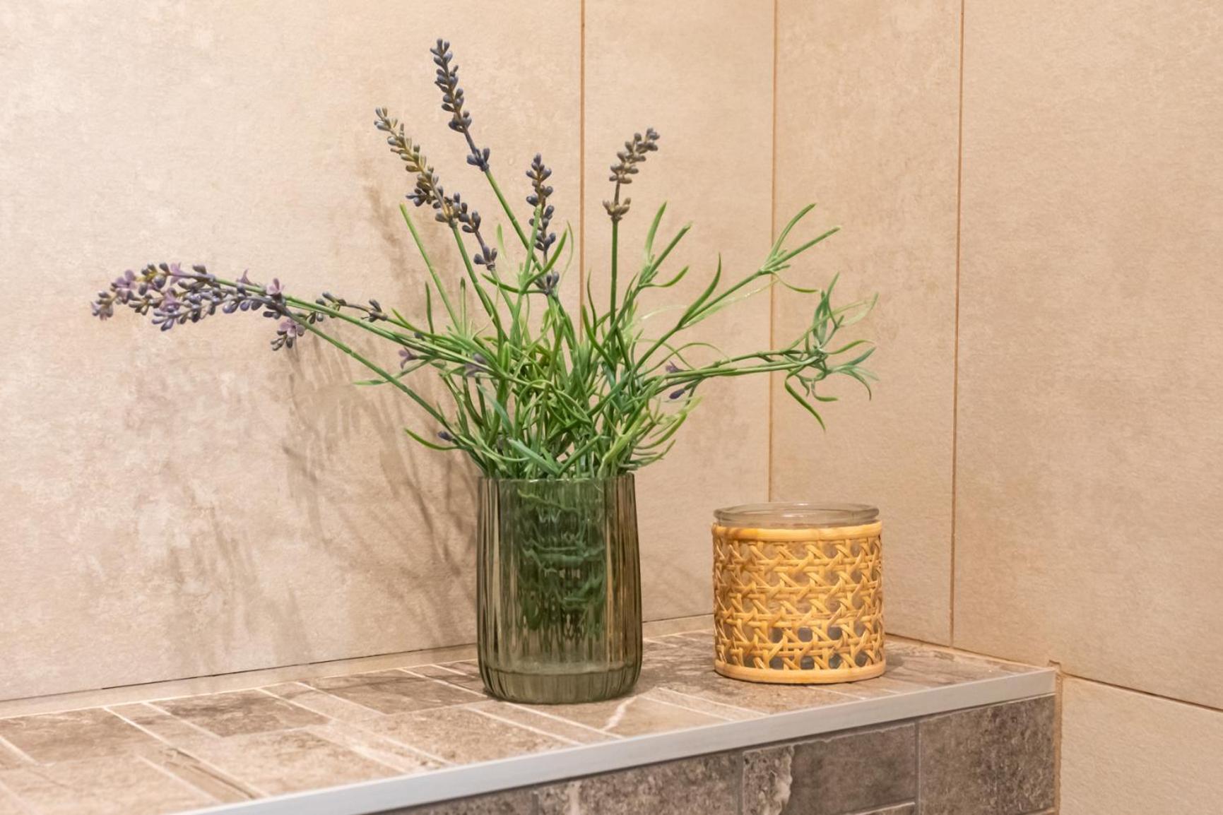 Boutique Apartment La Lavande Free Parking 10 Min Walk ニース エクステリア 写真